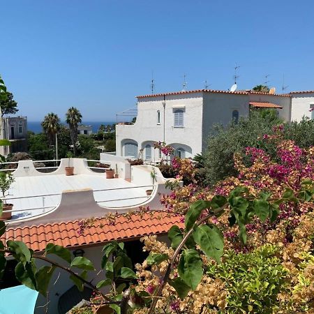 Apartment Ponente By Interhome Forio di Ischia Eksteriør billede