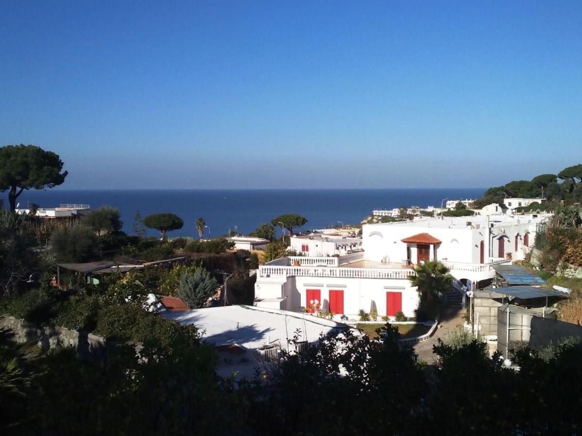 Apartment Ponente By Interhome Forio di Ischia Eksteriør billede